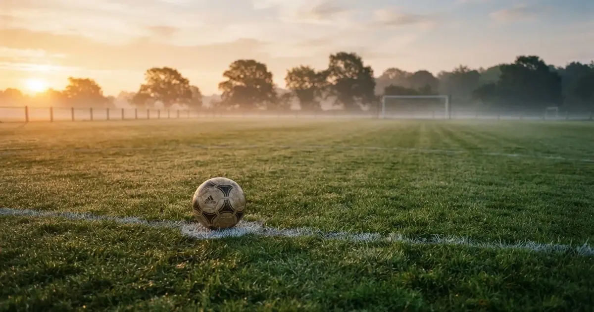 How to bet on sports in New Zealand in 2026: the legal route and what it costs